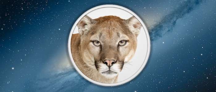 lion installer