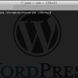 Replace WP-Cron with real cronjob for high traffic sites
